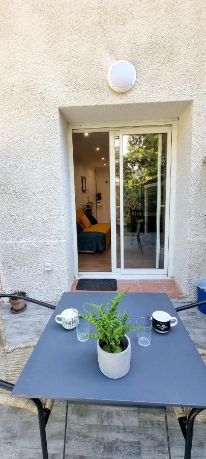 Studio Simone - Terrasse Et Jardin - Tv - Wifi Toulouse Buitenkant foto