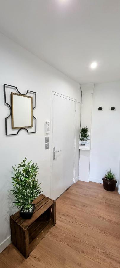 Studio Simone - Terrasse Et Jardin - Tv - Wifi Toulouse Buitenkant foto